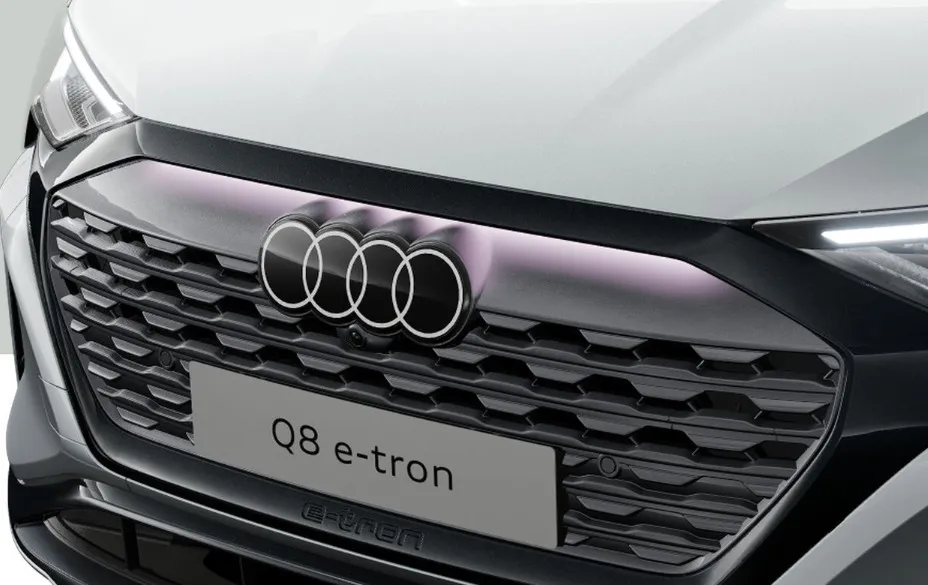 audi-Q8-e-tron-grill