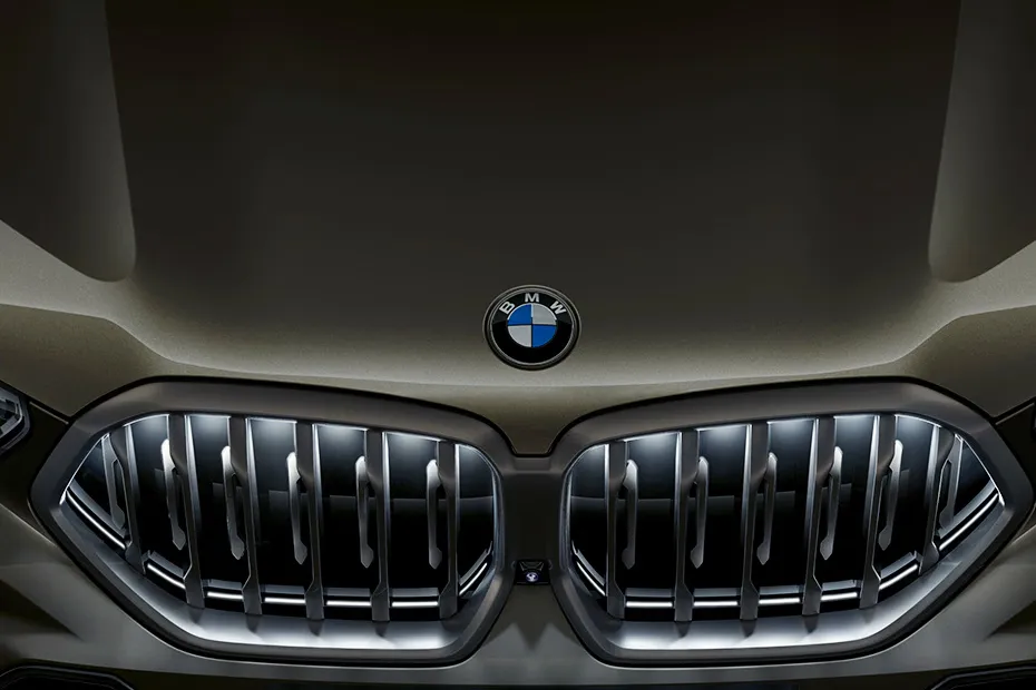 bmw-x6-grill
