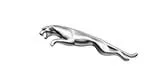 jaguar's image