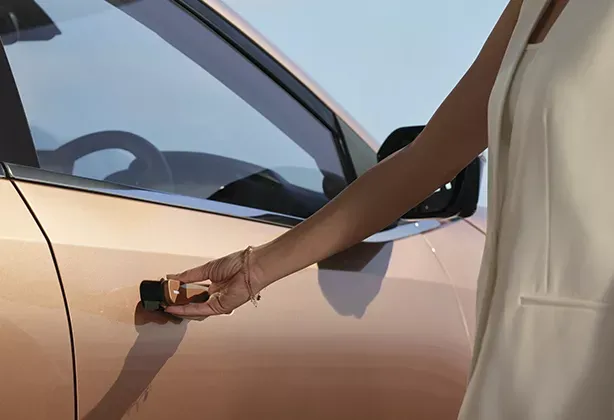 tata-curvv-door-handle